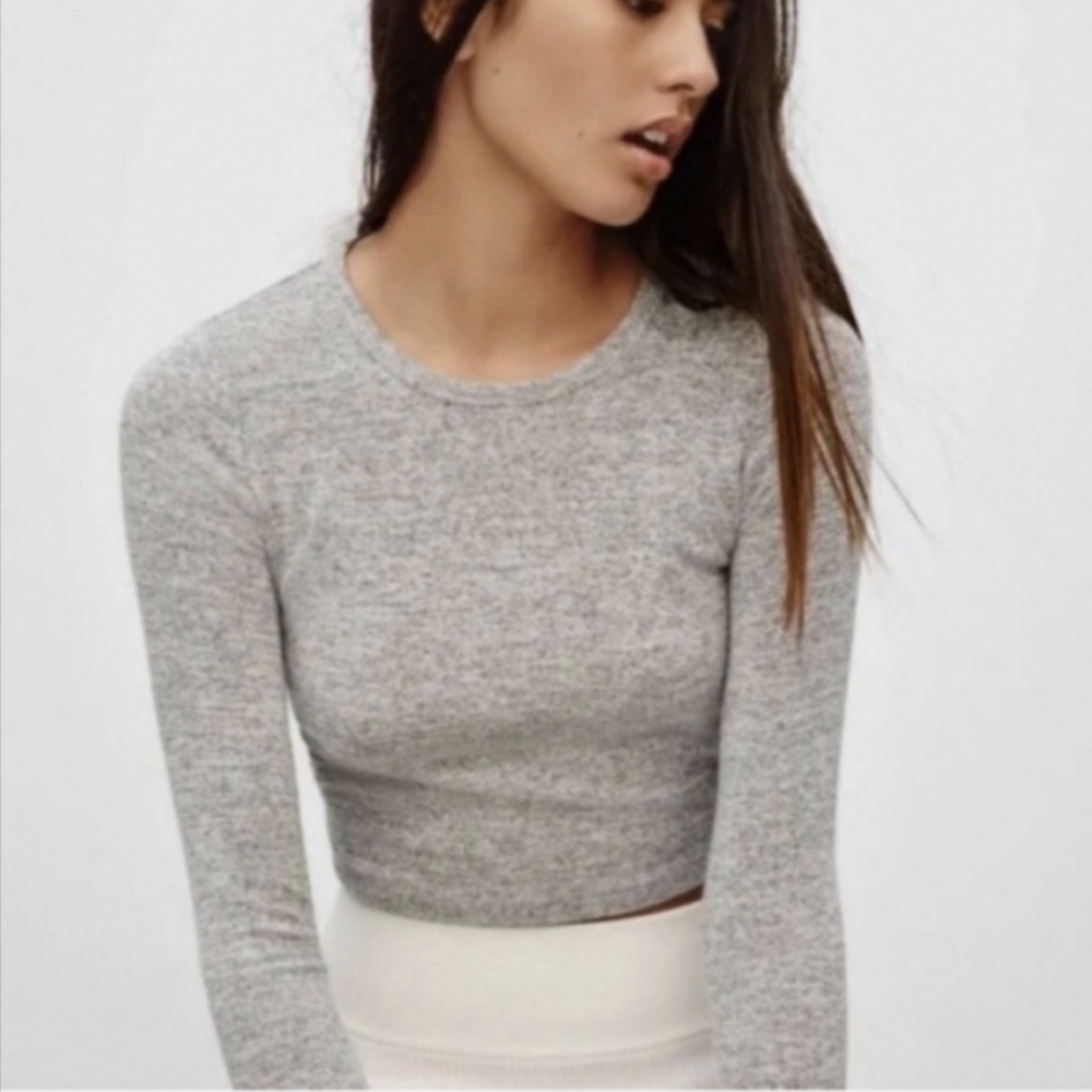 Aritzia Wilfred Free Georgia Cropped T-shirt, Grey, Womens Size Medium